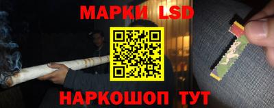 гашик Дубна