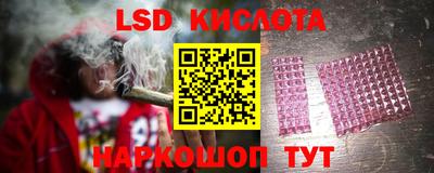 гашик Дубна