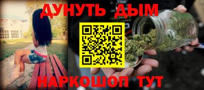 гашик Дубна