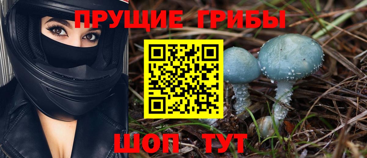 Псилоцибиновые грибы мухоморы Можайск