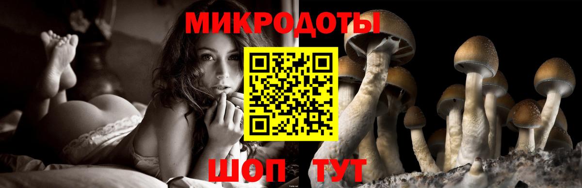 Псилоцибиновые грибы мицелий  Вход с VPN  Можайск  закладка  Псилоцибиновые грибы мицелий 